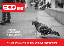 ECOBIRDS®: Download Brochure