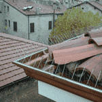 ECOBIRDS®: esempi fotografici di installazione di DISSUASORI MECCANICI